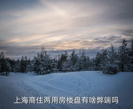 上海商住两用房楼盘有啥弊端吗