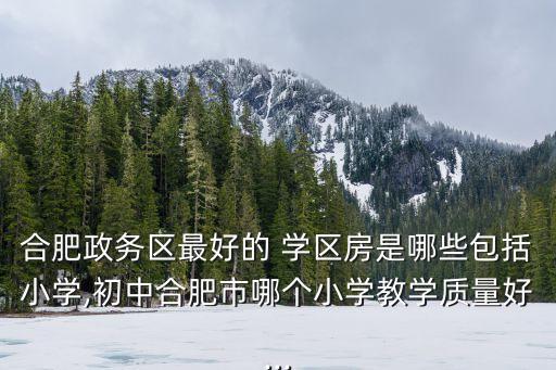 合肥政务区最好的 学区房是哪些包括小学,初中合肥市哪个小学教学质量好...