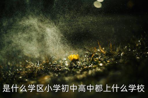 是什么学区小学初中高中都上什么学校