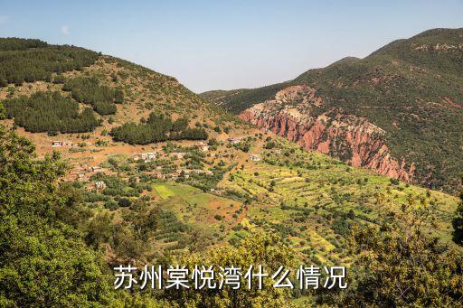 苏州棠悦湾什么情况