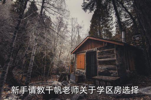 新手请教千帆老师关于学区房选择