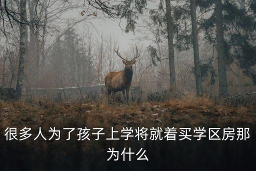 很多人为了孩子上学将就着买学区房那为什么