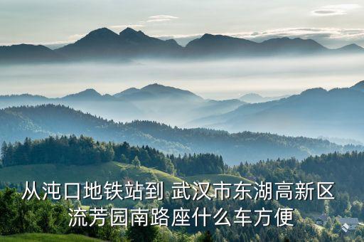 从沌口地铁站到 武汉市东湖高新区 流芳园南路座什么车方便