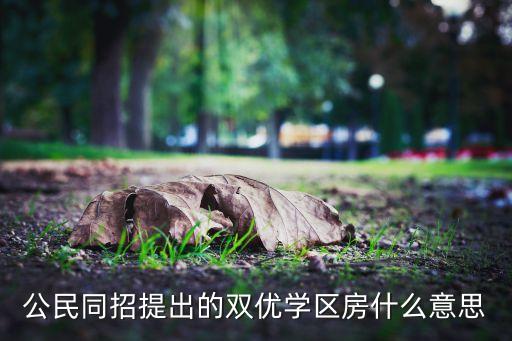 公民同招提出的双优学区房什么意思
