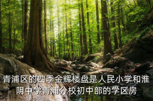 青浦区的四季金辉楼盘是人民小学和淮阴中学青浦分校初中部的学区房