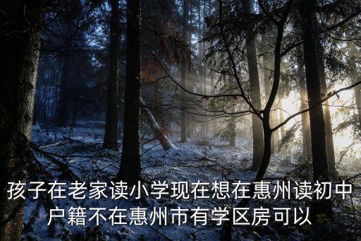 惠州学区房有什么政策，孩子在老家读小学现在想在惠州读初中户籍不在惠州市有学区房可以