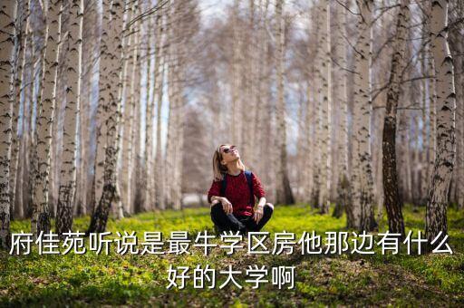 府佳苑听说是最牛学区房他那边有什么好的大学啊