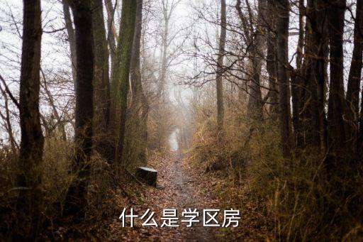 什么是学区房