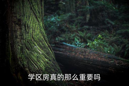 学区房真的那么重要吗
