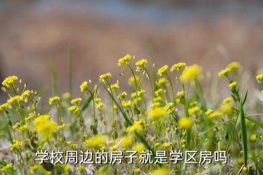 学校周边的房子就是学区房吗