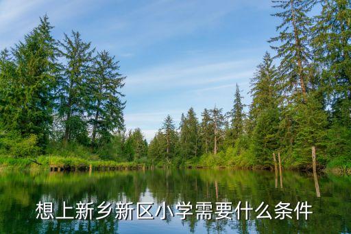 想上新乡新区小学需要什么条件