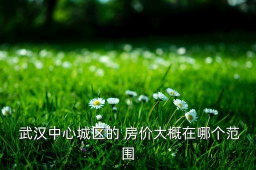  武汉中心城区的 房价大概在哪个范围