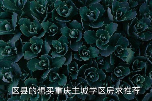 区县的想买重庆主城学区房求推荐