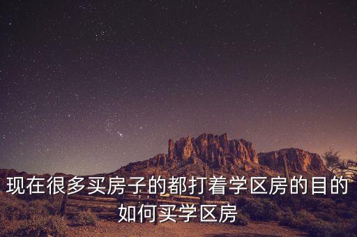 现在很多买房子的都打着学区房的目的如何买学区房