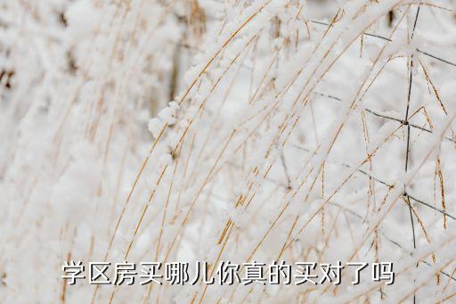 学区房买哪儿你真的买对了吗