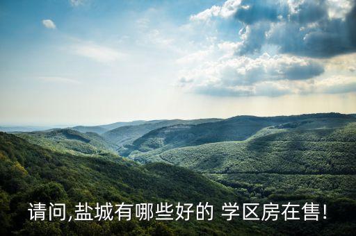 中华名园做学区房怎么样