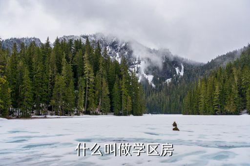 学区房什么意思啊，学区房是什么意思