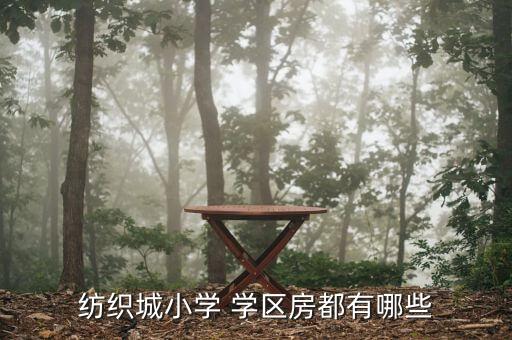 纺织城小学 学区房都有哪些