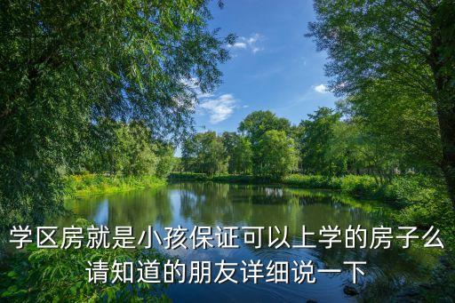 学区房就是小孩保证可以上学的房子么请知道的朋友详细说一下