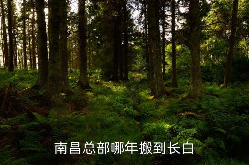 南昌买什么学区房好，南昌市红谷滩哪家楼盘对小孩读书能选好学校
