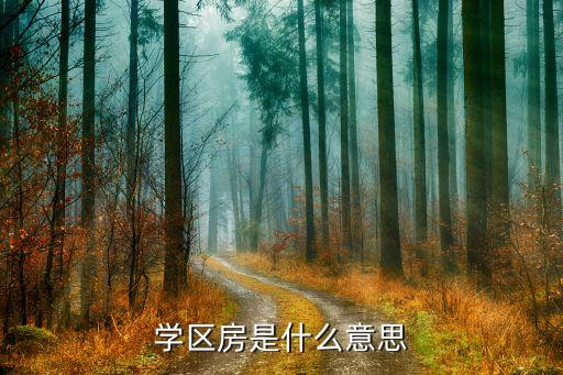学区房是什么意思