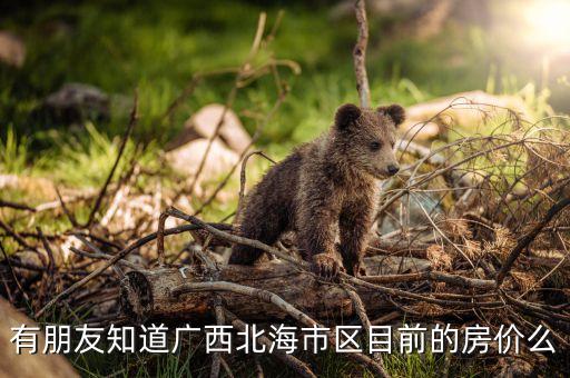 有朋友知道广西北海市区目前的房价么