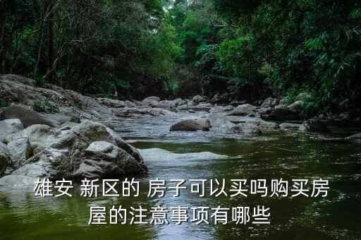  雄安 新区的 房子可以买吗购买房屋的注意事项有哪些