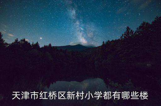 天津市红桥区新村小学都有哪些楼