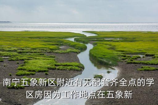 南宁青云村是什么学区房，南宁市衡阳路迷你新景可读什么小学