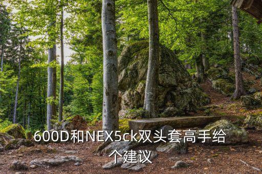 600D和NEX5ck双头套高手给个建议