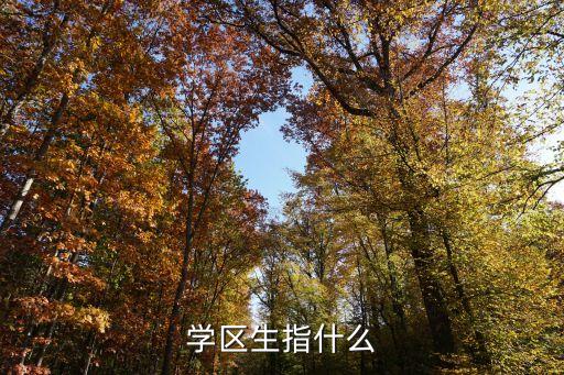 学区生指什么