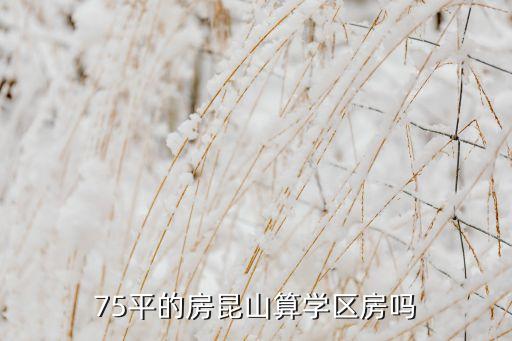 75平的房昆山算学区房吗