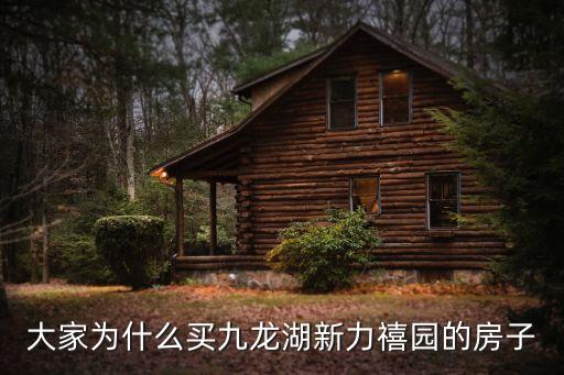 大家为什么买九龙湖新力禧园的房子