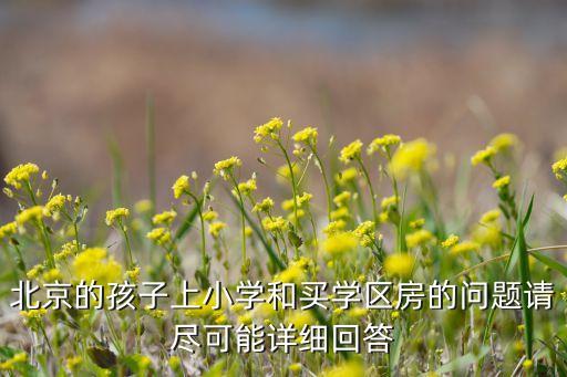 北京的孩子上小学和买学区房的问题请尽可能详细回答