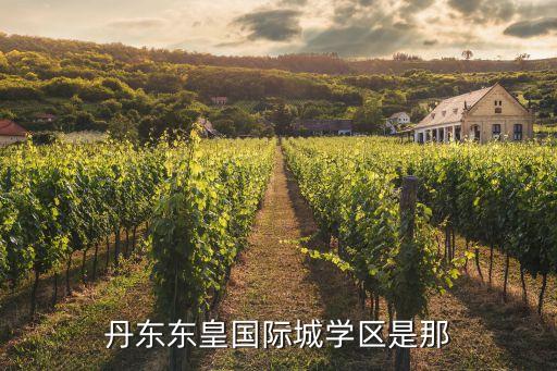丹东东皇国际城学区是那