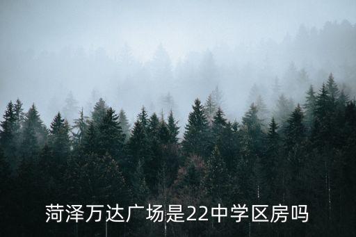 菏泽万达广场是22中学区房吗