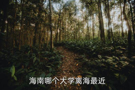 海口学区房是什么意思，海口市新的双岛小学部是在湖南师大附中海口中学校园内吗