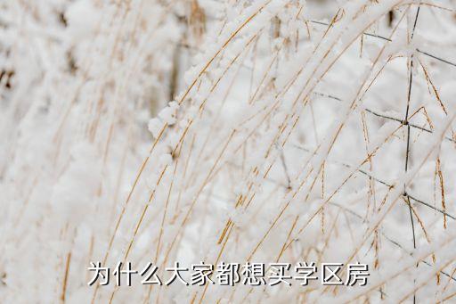 为什么大家都想买学区房