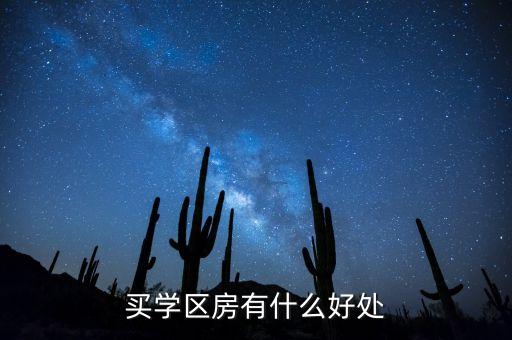 划片啦学区房还有什么好处，什么是学区房有什么好处