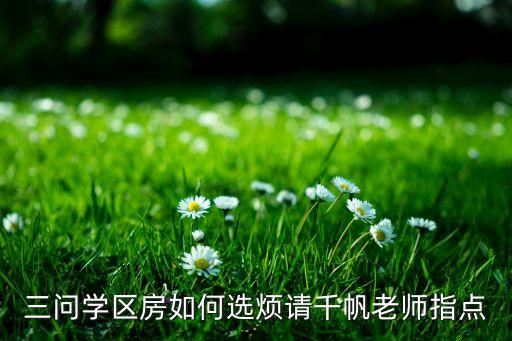 三问学区房如何选烦请千帆老师指点