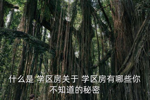 什么是 学区房关于 学区房有哪些你不知道的秘密