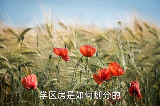 学区房是如何划分的