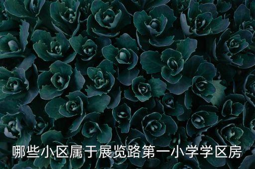 哪些小区属于展览路第一小学学区房