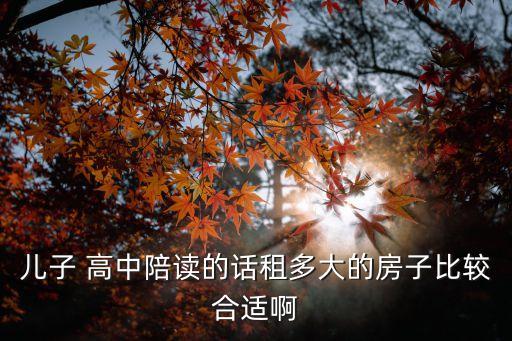 高中跟学区房哪个好租一点,学区房小学初中,高中,哪个更好