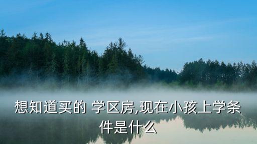 想知道买的 学区房,现在小孩上学条件是什么
