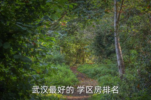武汉最好的 学区房排名