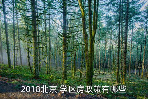 2018北京 学区房政策有哪些