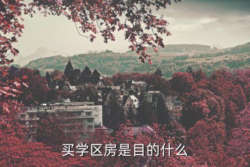 买学区房是目的什么