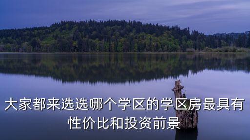 什么学区房最有潜力，大家都来选选哪个学区的学区房最具有性价比和投资前景