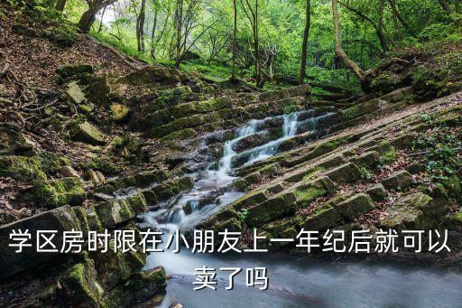 学区房时限在小朋友上一年纪后就可以卖了吗